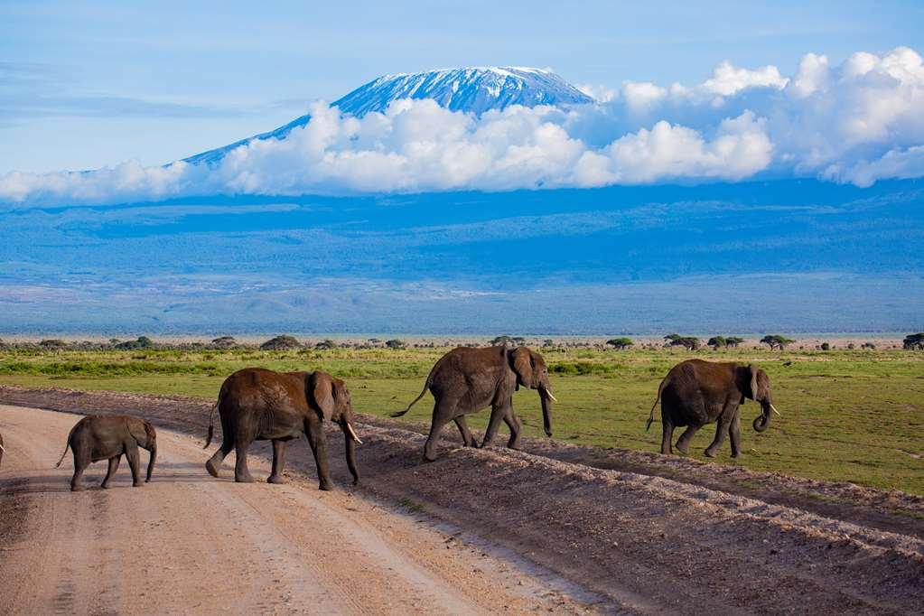 Amboseli Serena Safari Lodge Zařízení fotografie