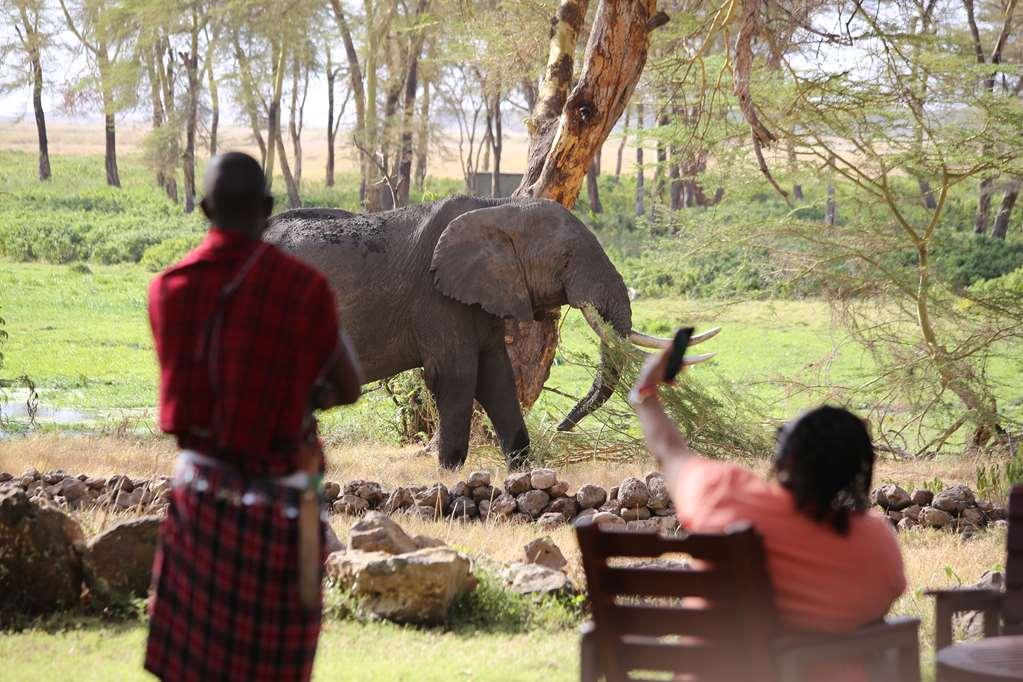 Amboseli Serena Safari Lodge Zařízení fotografie