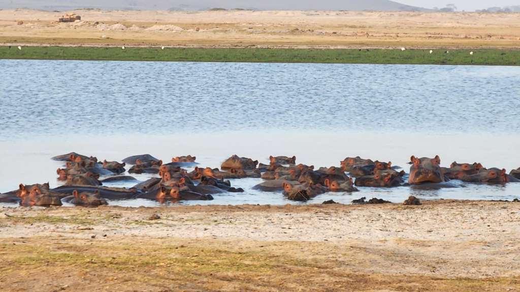 Amboseli Serena Safari Lodge Zařízení fotografie